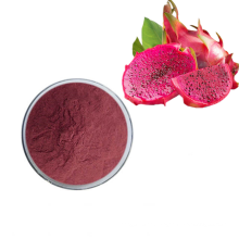 High Quality Dragon Fruit Concentrate Extract Dragon Fruit Juice Powder